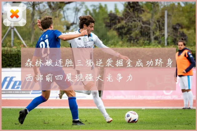 森林狼连胜三场逆袭掘金成功跻身西部前四展现强大竞争力